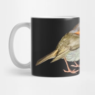 zebra finch bird Mug